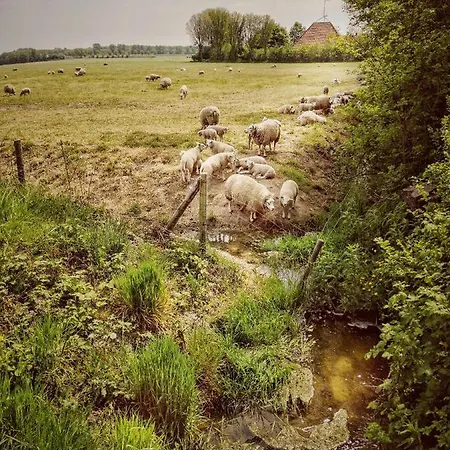 Bed & Breakfast Nova Hippolytushoef